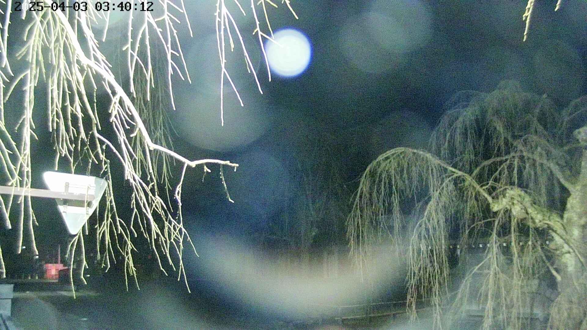 area1-20250403034015.jpg