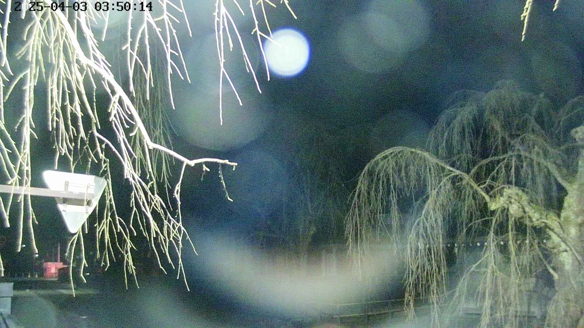 area1-20250403035017.jpg