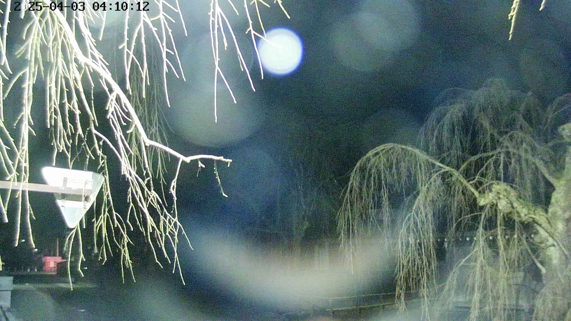 area1-20250403041016.jpg