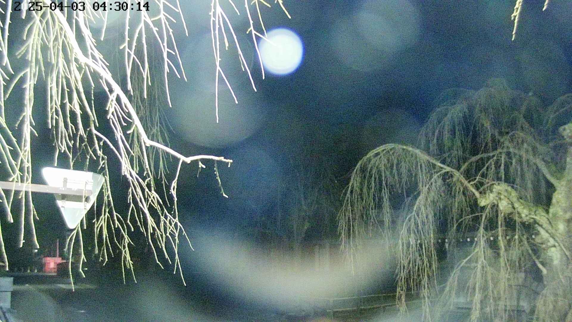 area1-20250403043017.jpg