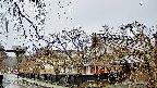 area1-20250403082014.jpg