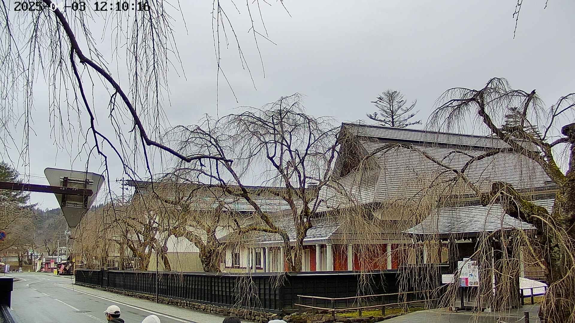 area1-20250403121016.jpg