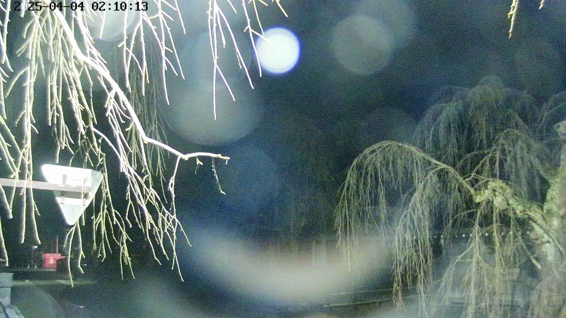 area1-20250404021016.jpg