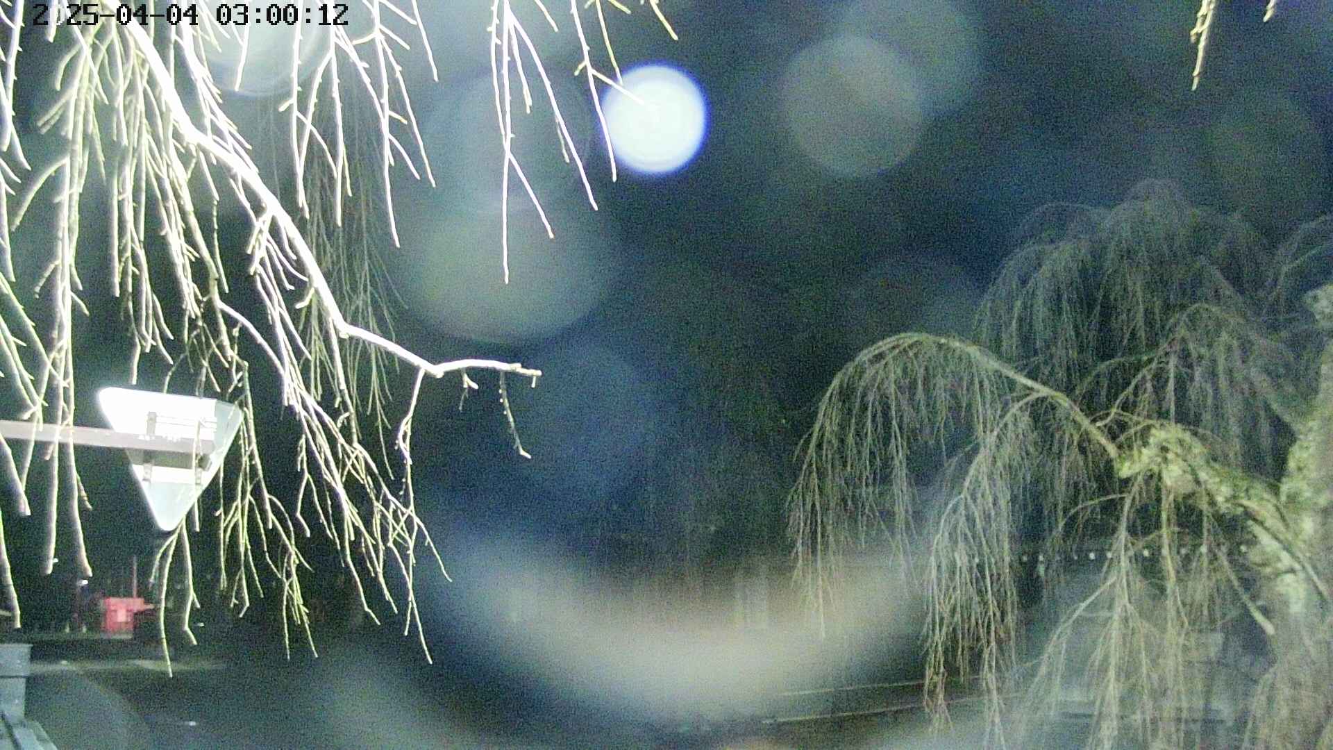 area1-20250404030016.jpg