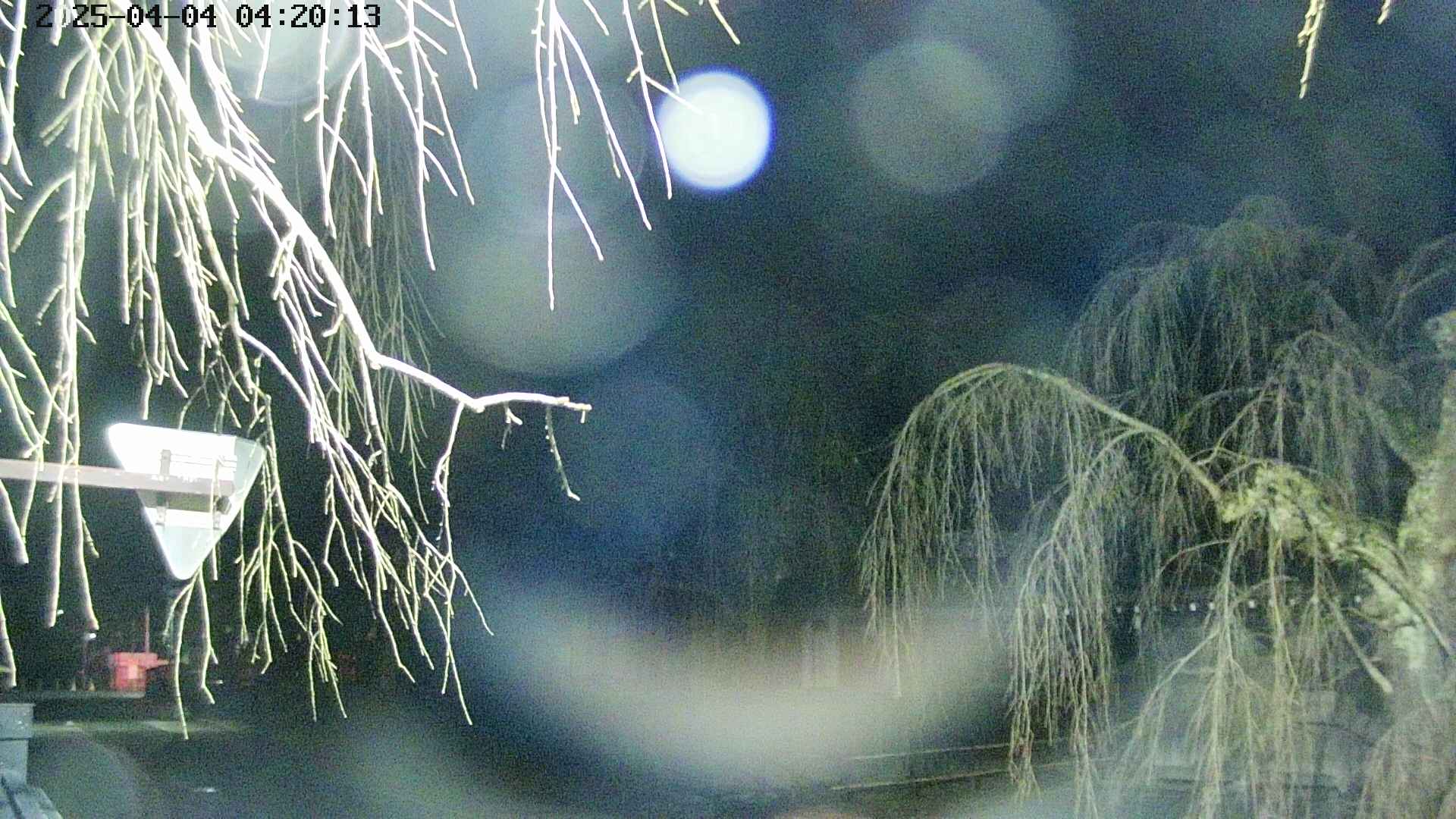 area1-20250404042017.jpg