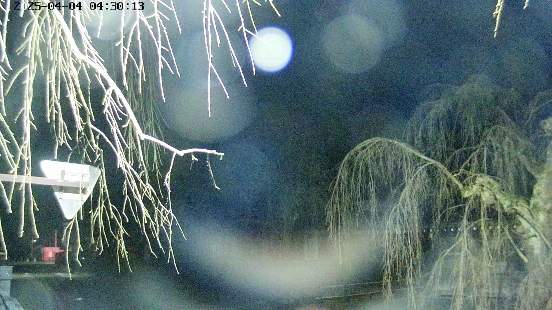 area1-20250404043017.jpg