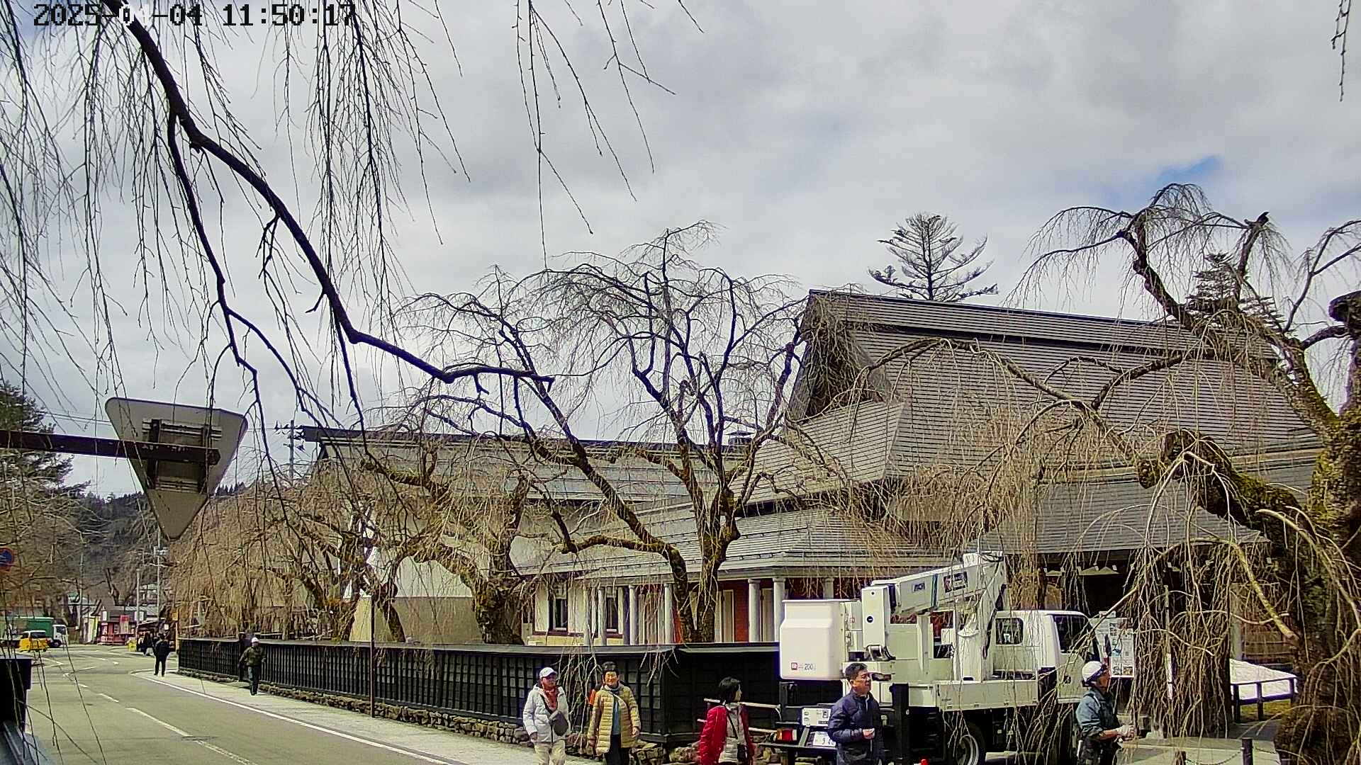 area1-20250404115017.jpg