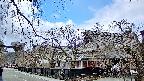 area1-20250404122015.jpg