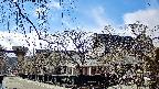 area1-20250404143013.jpg