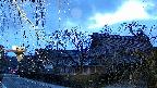area1-20250404182016.jpg