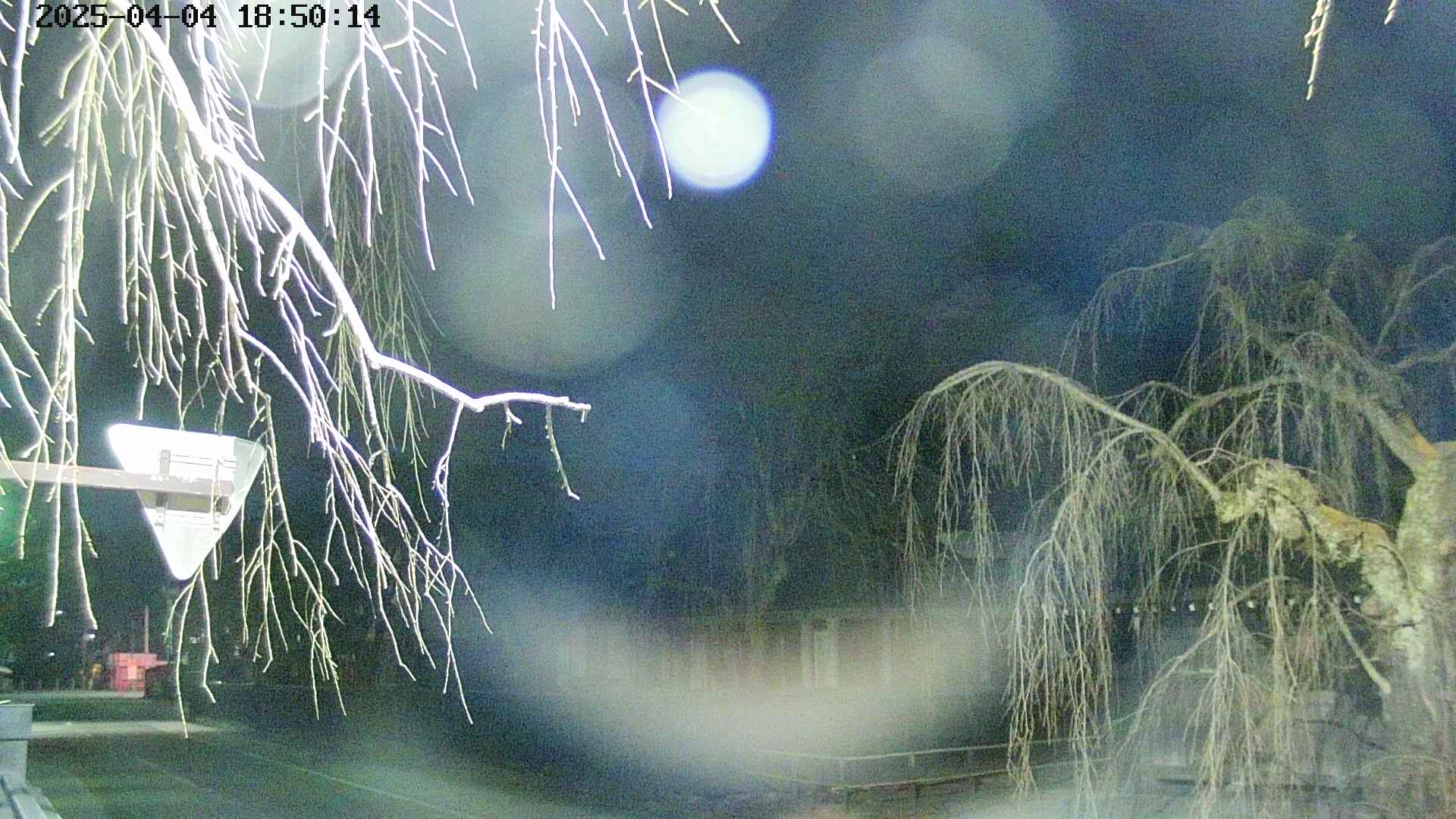 area1-20250404185016.jpg