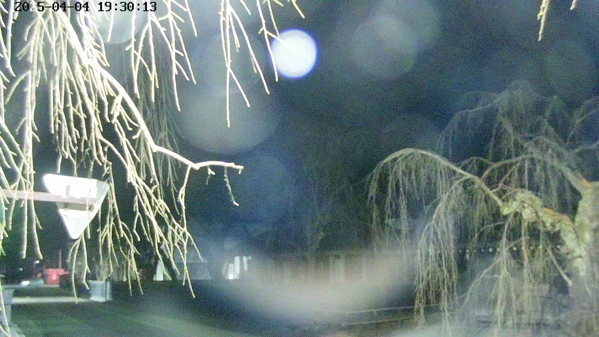 area1-20250404193015.jpg