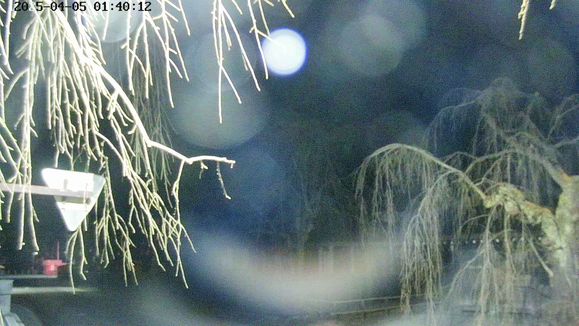 area1-20250405014015.jpg