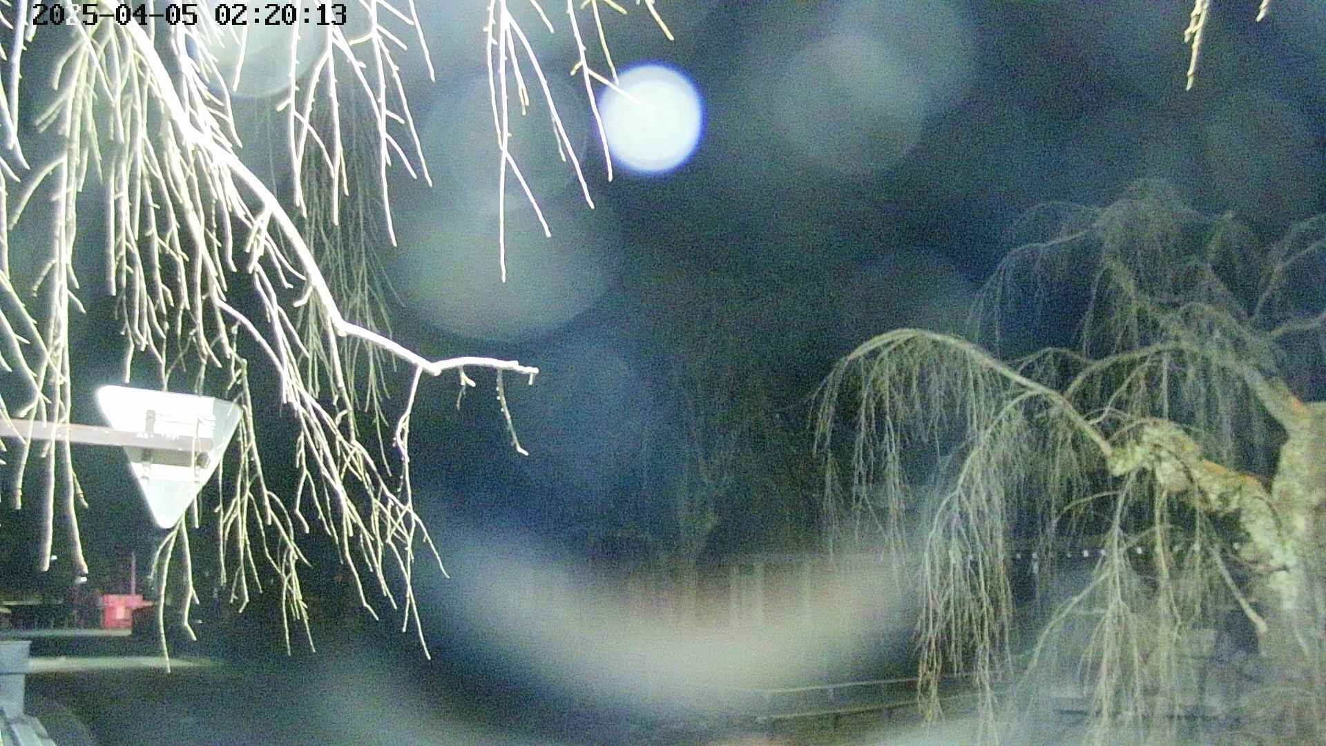 area1-20250405022016.jpg