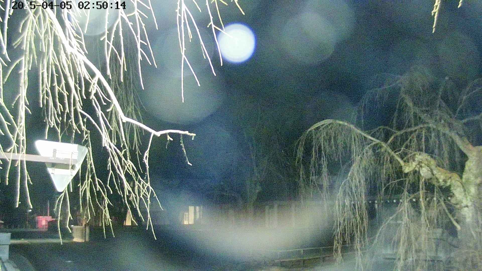 area1-20250405025017.jpg