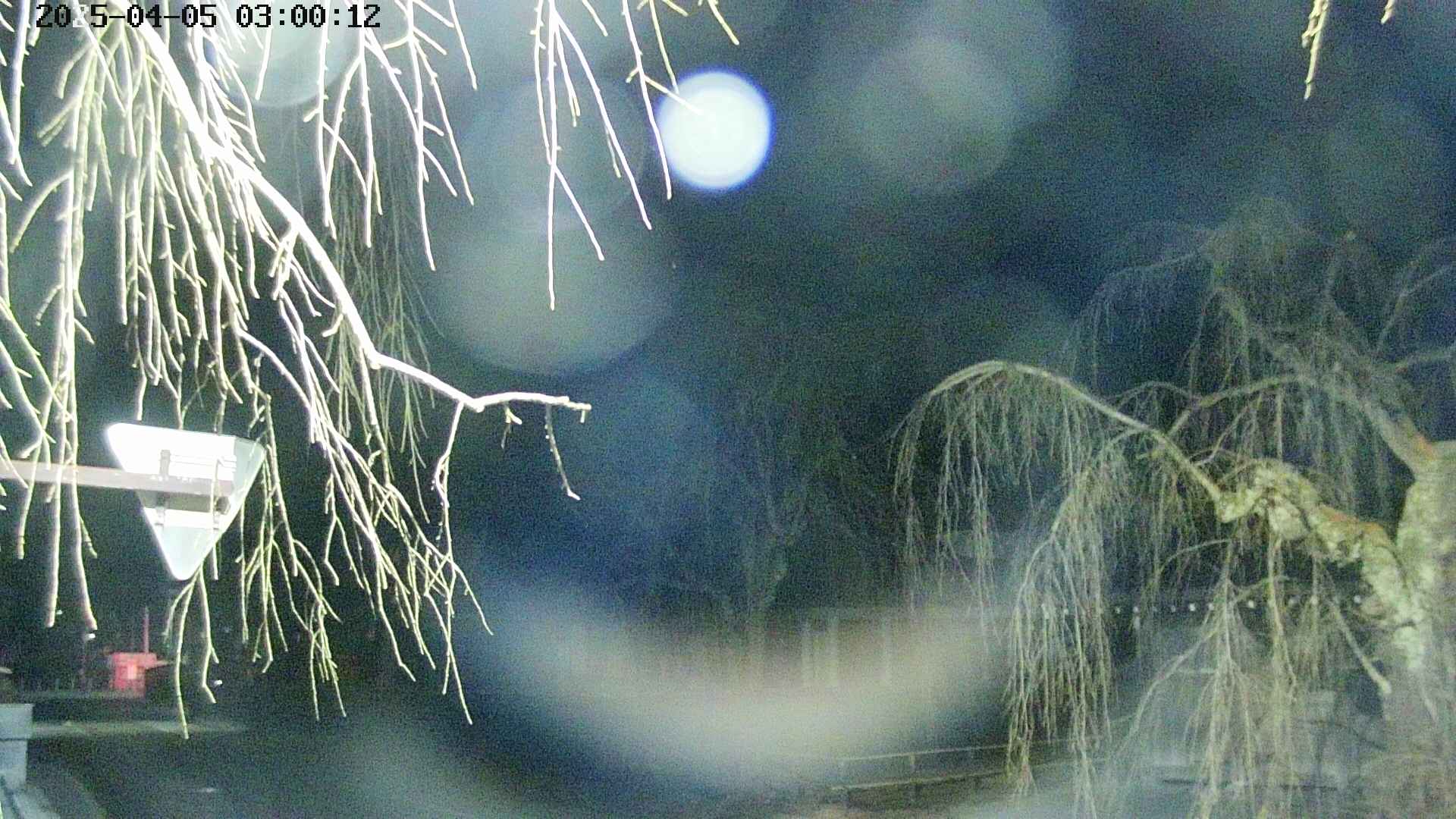 area1-20250405030015.jpg