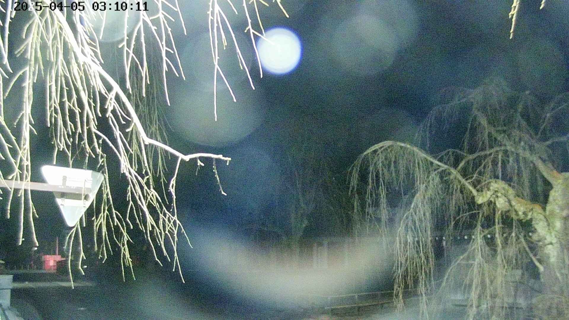 area1-20250405031015.jpg
