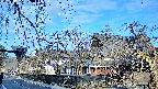 area1-20250405070016.jpg