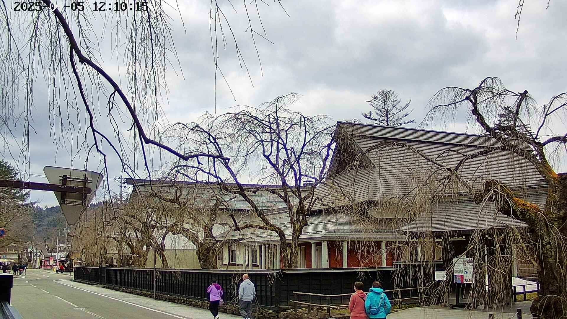 area1-20250405121016.jpg