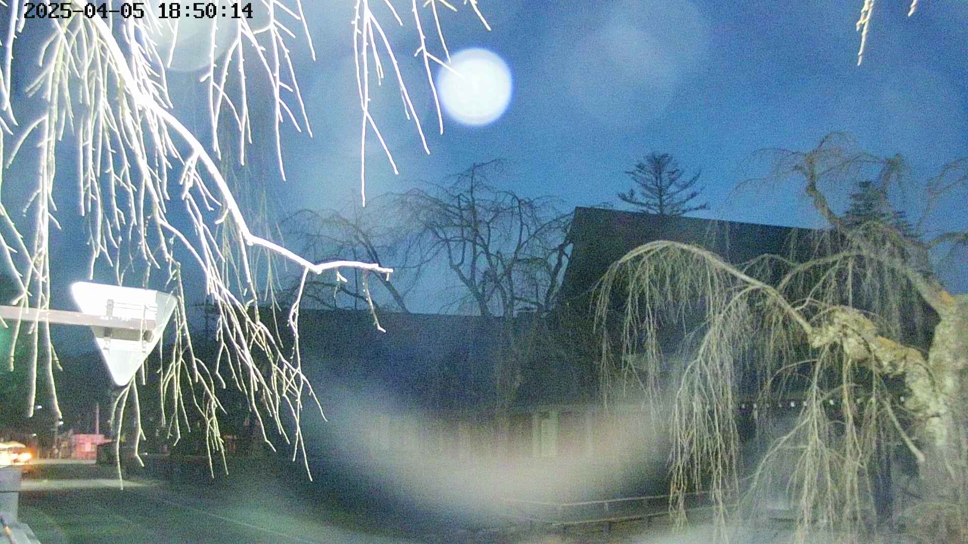 area1-20250405185016.jpg