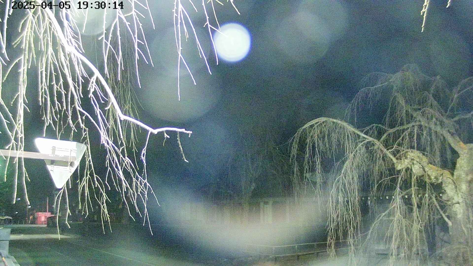 area1-20250405193016.jpg