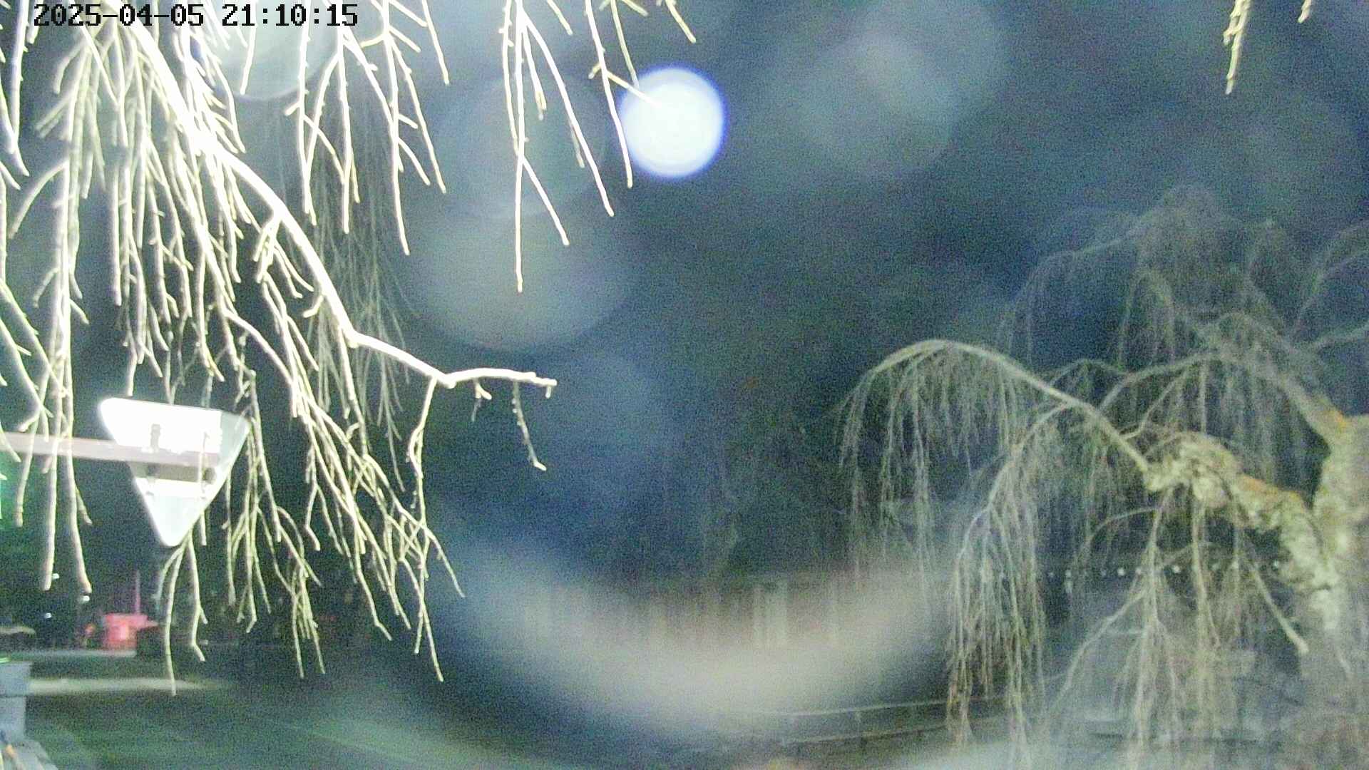 area1-20250405211018.jpg