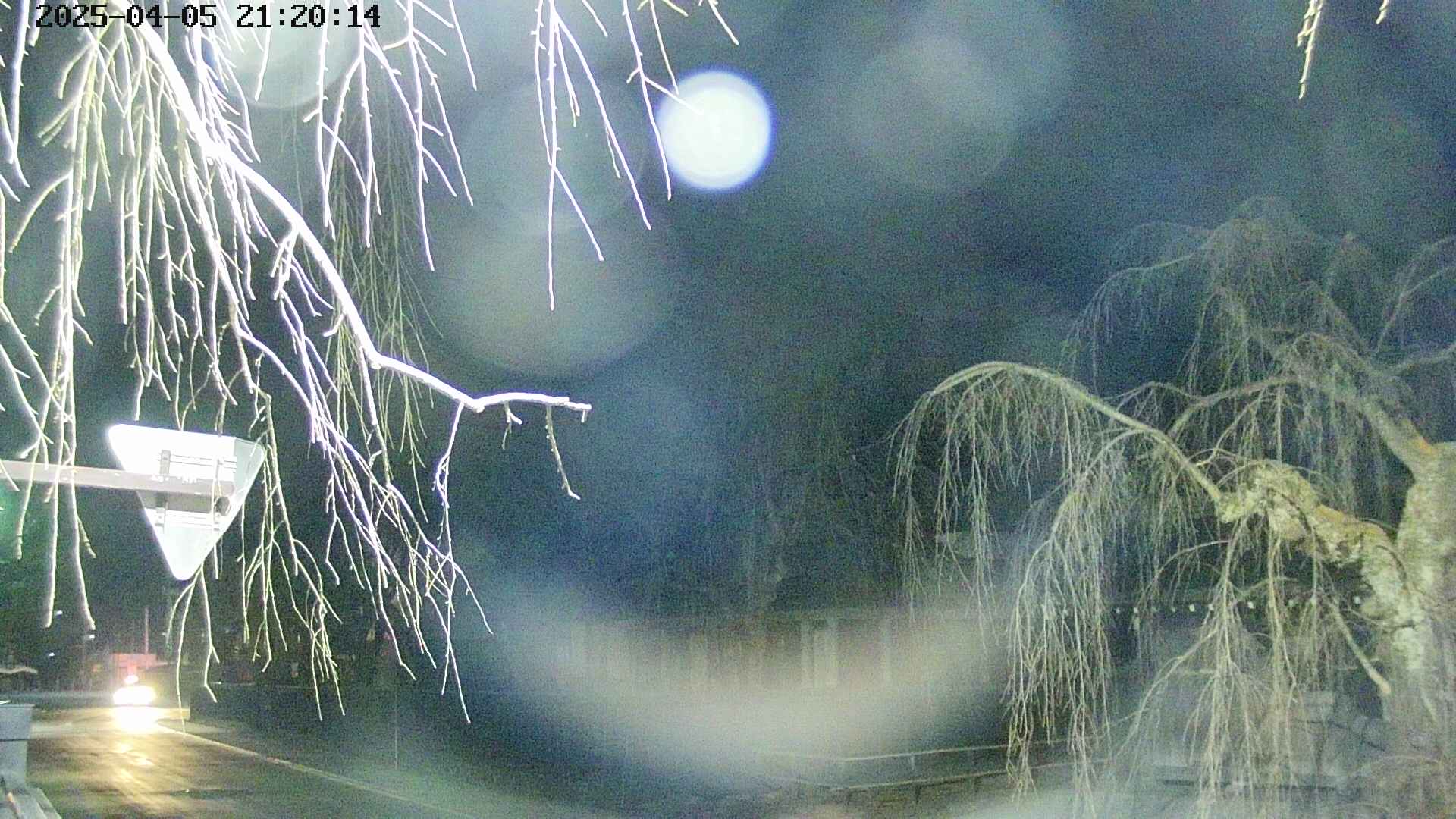 area1-20250405212017.jpg