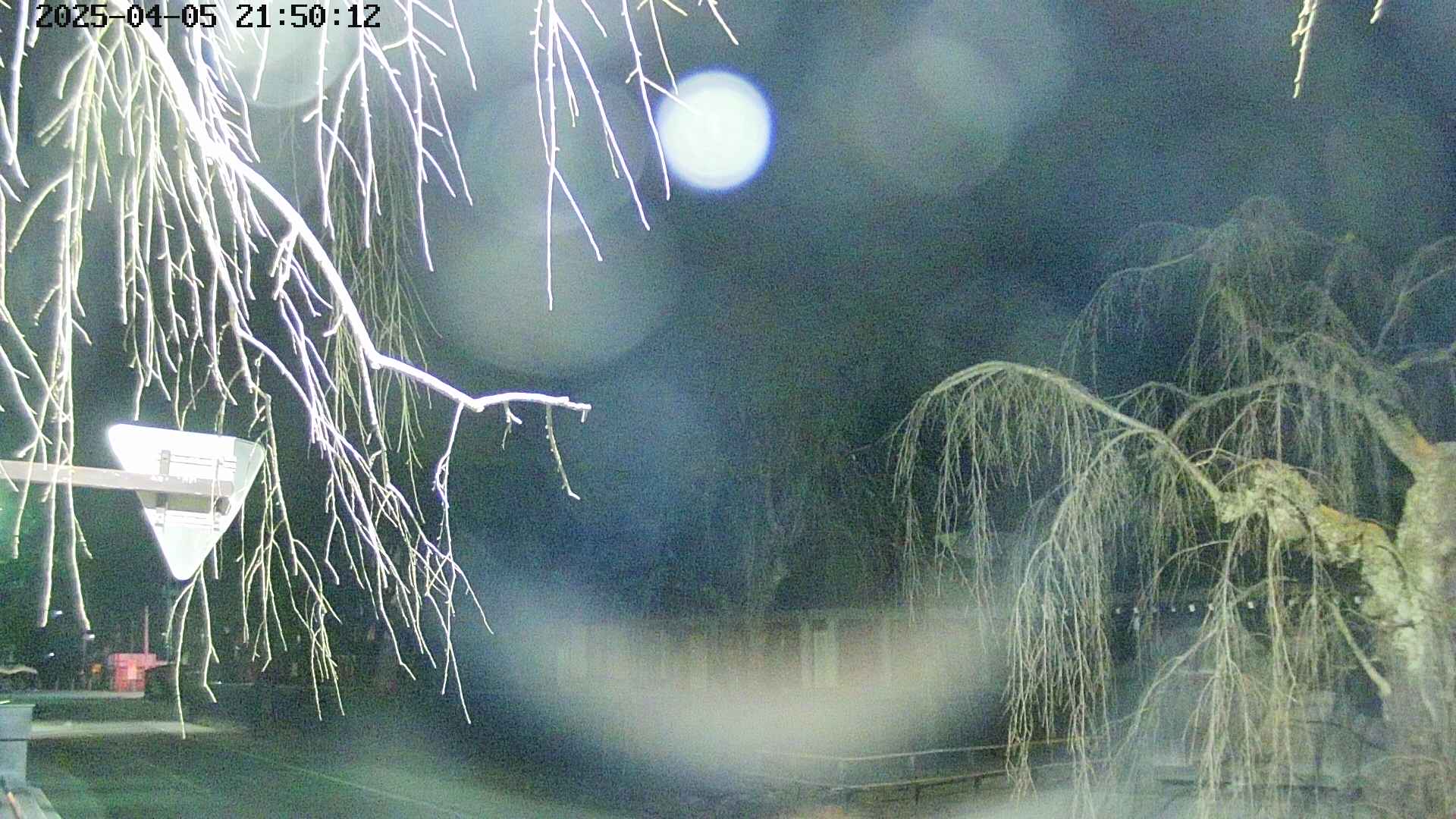 area1-20250405215014.jpg