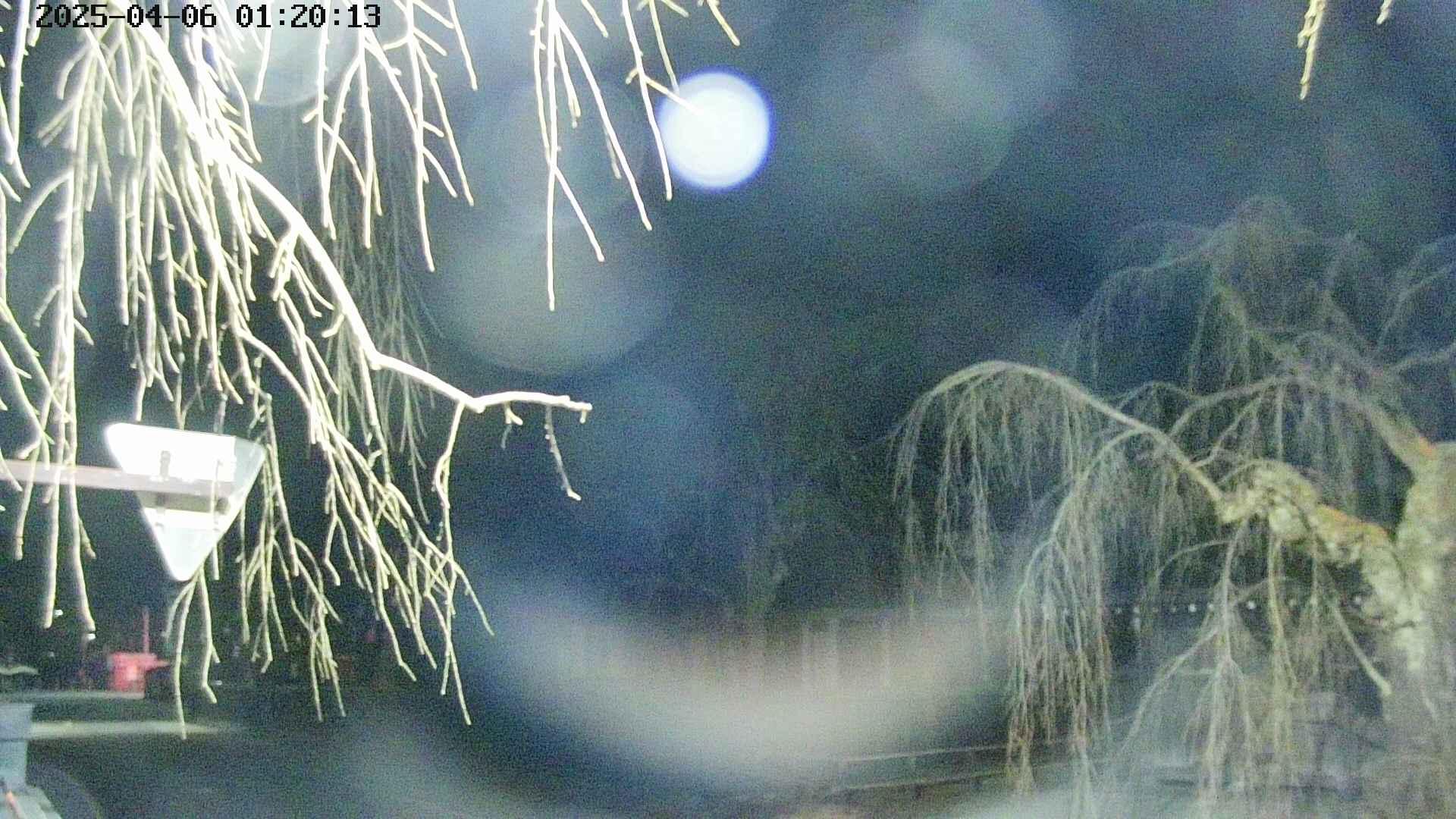 area1-20250406012016.jpg