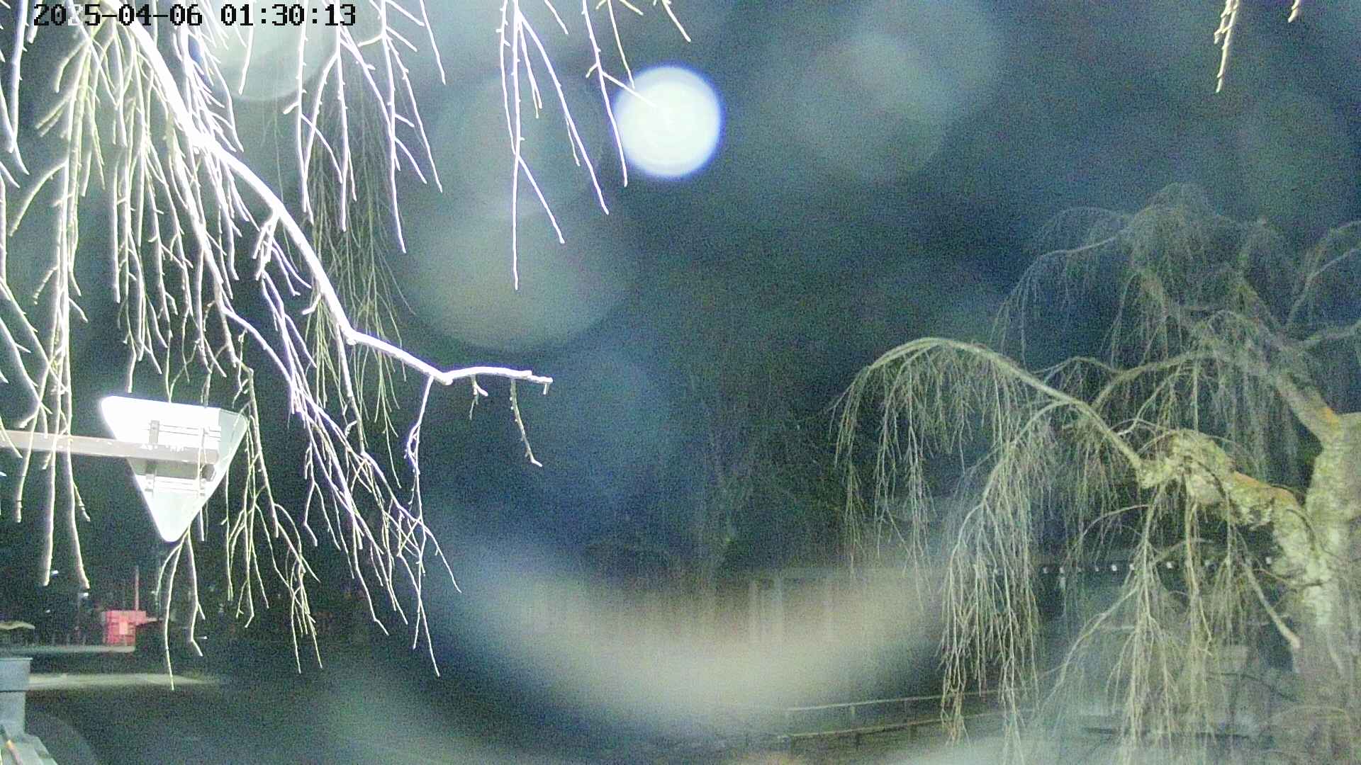 area1-20250406013016.jpg