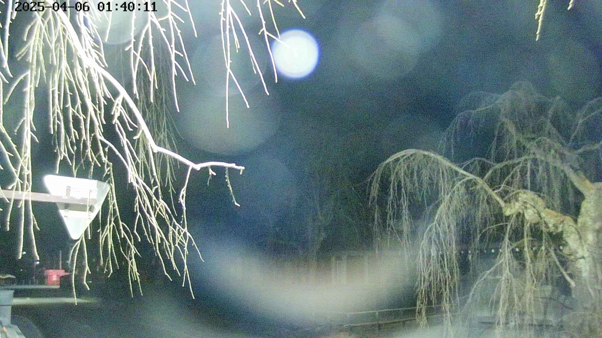 area1-20250406014014.jpg