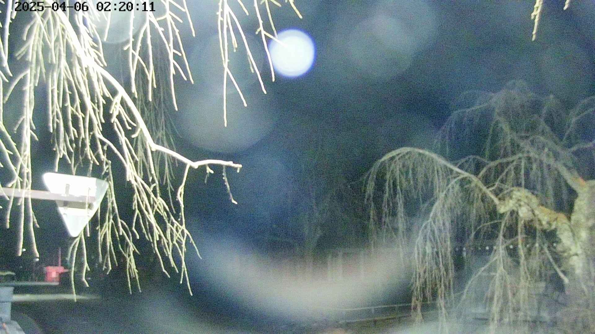 area1-20250406022014.jpg
