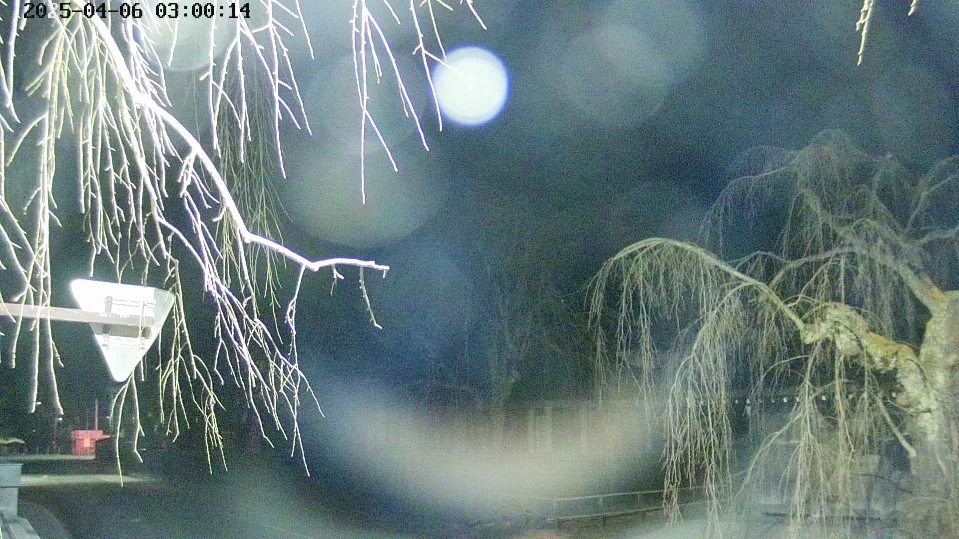 area1-20250406030017.jpg