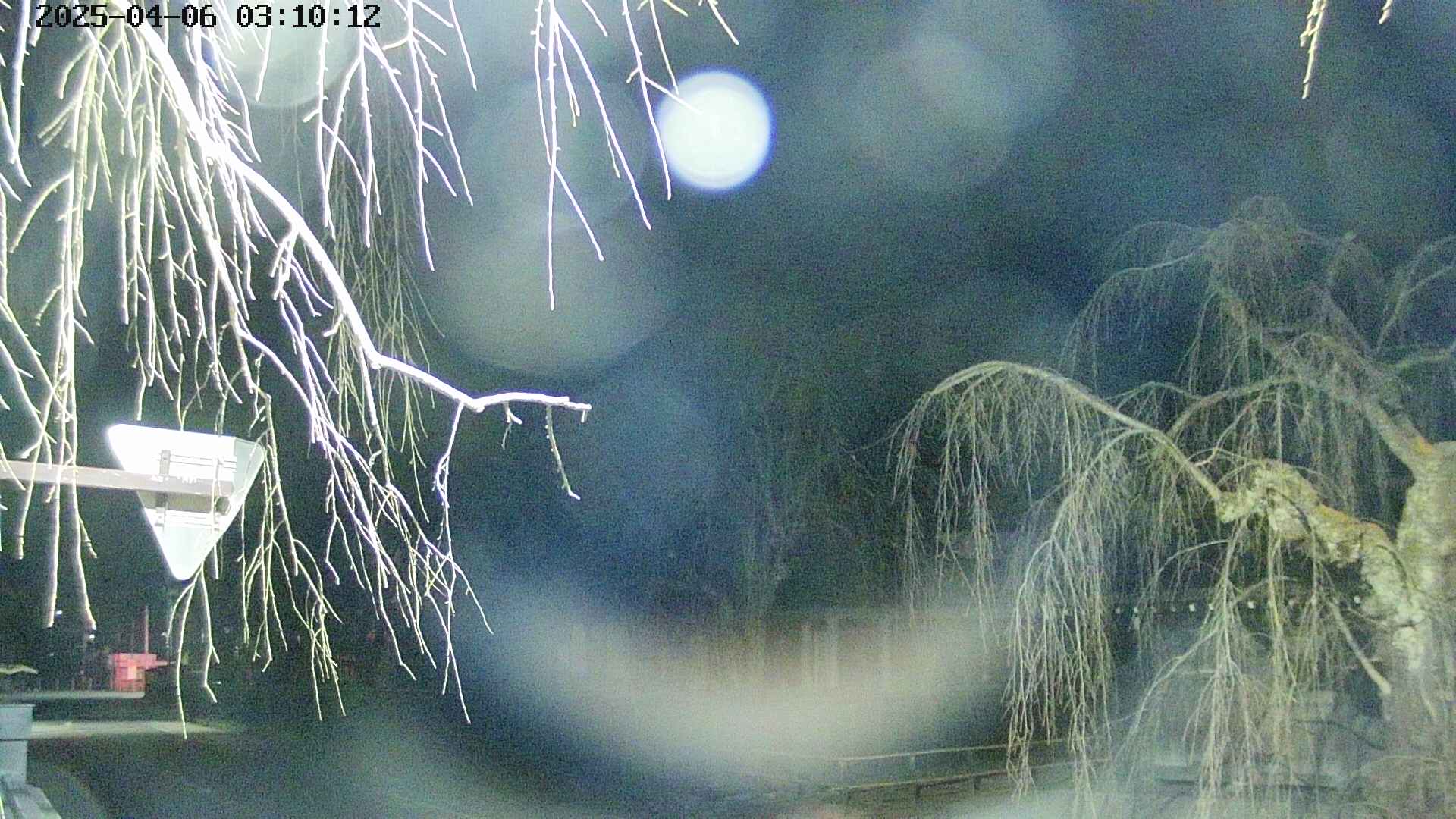 area1-20250406031015.jpg