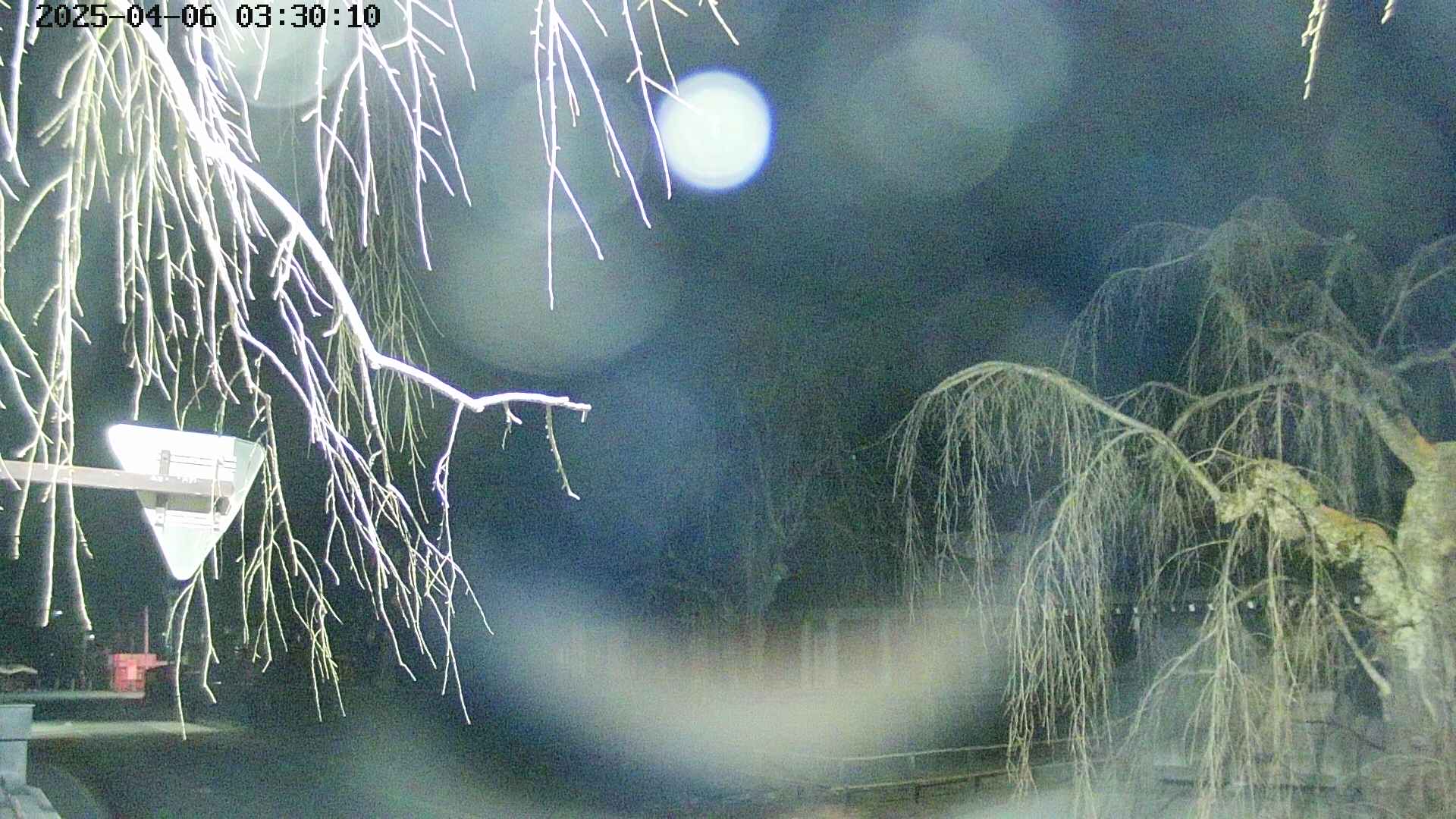 area1-20250406033014.jpg