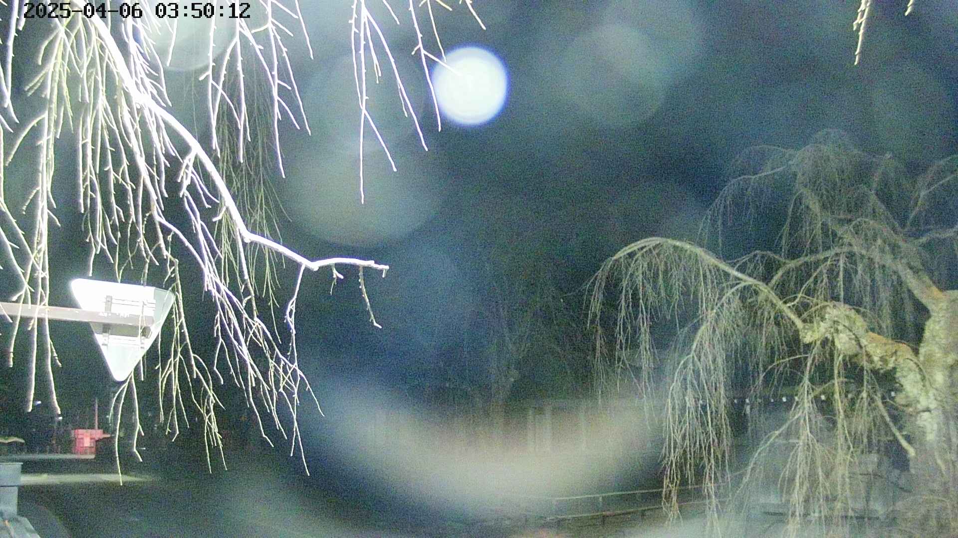 area1-20250406035015.jpg