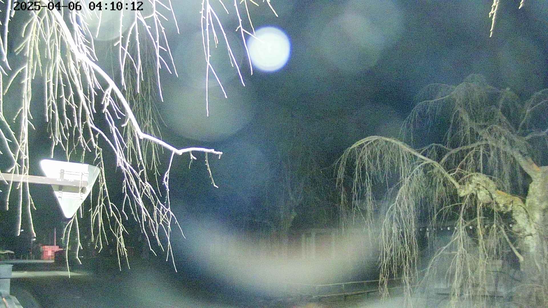 area1-20250406041016.jpg