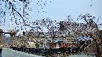 area1-20250406055015.jpg