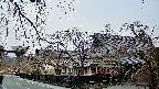 area1-20250406060019.jpg