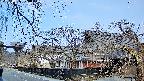 area1-20250406070014.jpg