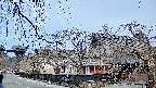 area1-20250406081015.jpg