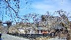 area1-20250406083016.jpg