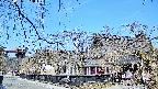 area1-20250406091016.jpg