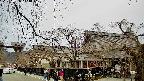 area1-20250406113016.jpg