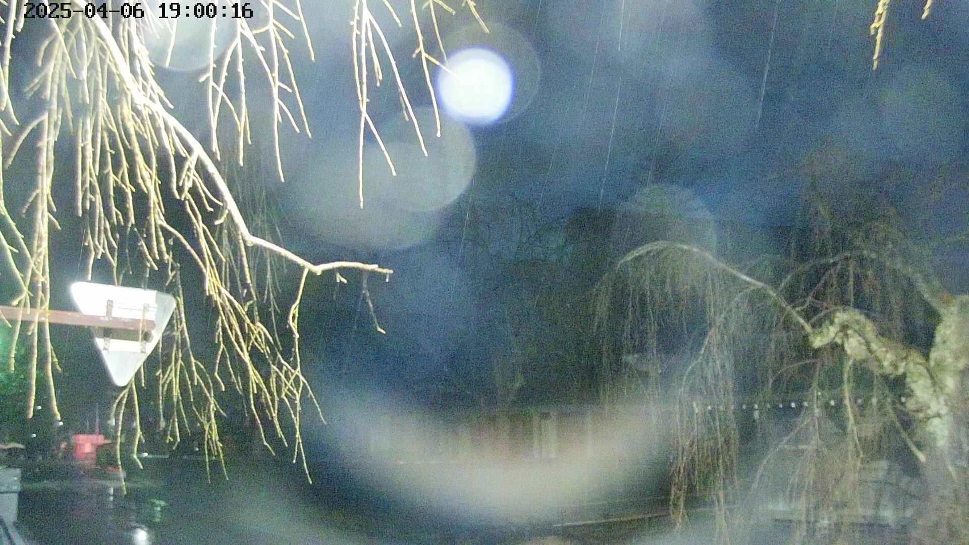 area1-20250406190018.jpg
