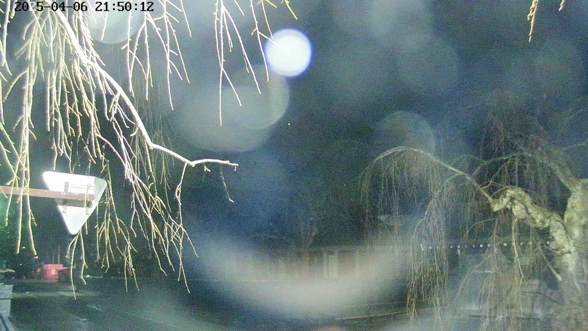 area1-20250406215015.jpg