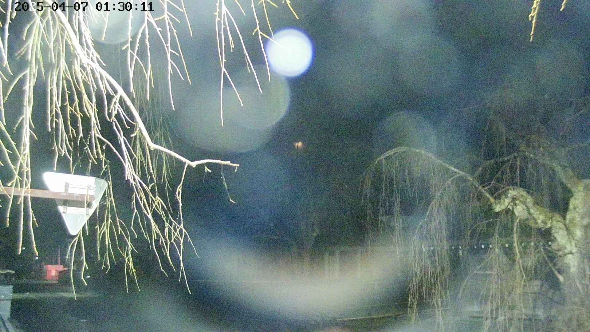 area1-20250407013014.jpg