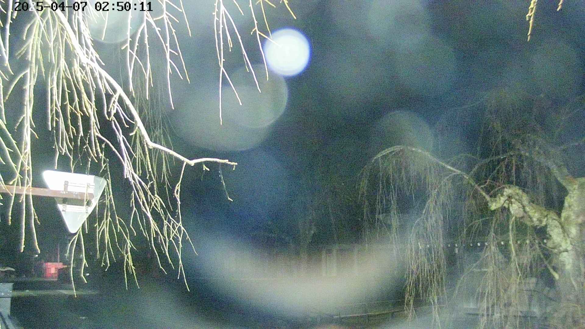 area1-20250407025014.jpg