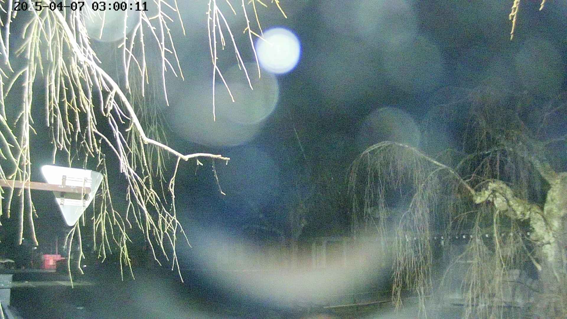 area1-20250407030014.jpg
