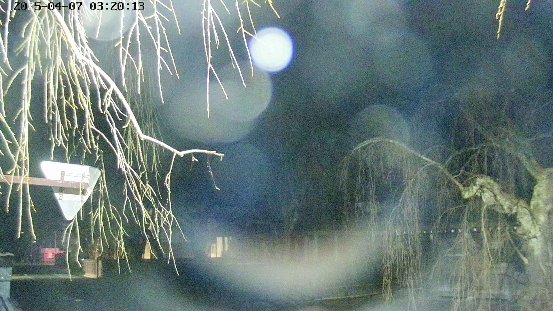 area1-20250407032016.jpg